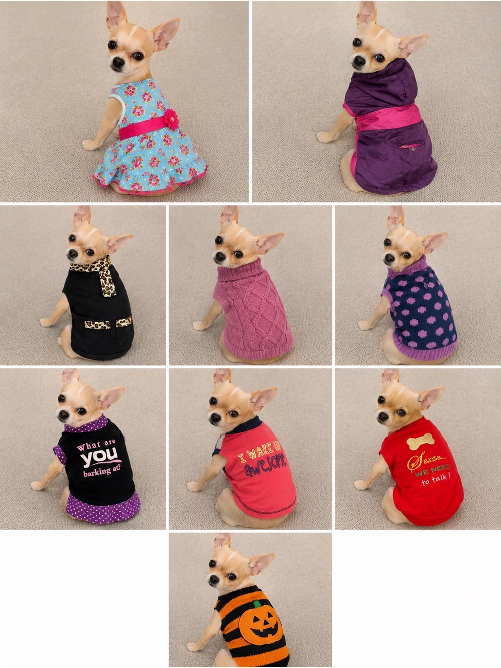 Small dog clothing lot!